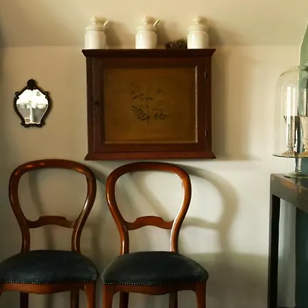 De Ginkgo In Het Hart Lejlighed *